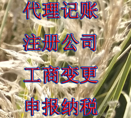 南京市浦口区注册公司.jpg 南京市浦口区注册公司.jpg