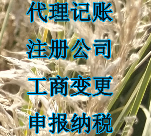 南京江北新区注册公司.jpg
