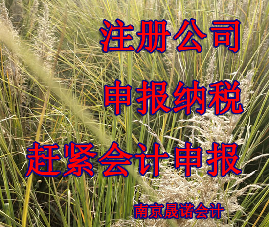 南京浦口区会计 代注册公司.jpg