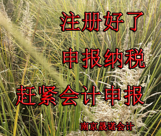 南京市江北新区代办营业执照流程.jpg 南京市江北新区代办营业执照流程.jpg